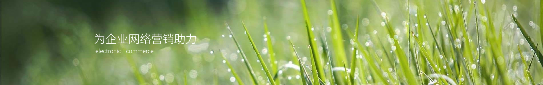 Ԯ(Ϻ)Ƽ޹˾